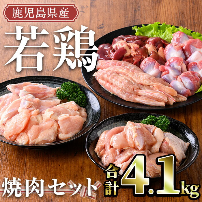 【ふるさと納税】鹿児島県産 若鶏焼肉セット(計4.1kg) 国産 鹿児島県産 小分け 冷凍 真空パック 若鶏 鶏肉 鶏 肉 もも肉 モモ肉 砂肝 肝 キチンリブ 肩肉 小肉 焼肉 セット 詰め合わせ【TRINITY】