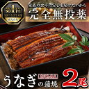 【ふるさと納税】鹿児島県産うなぎ蒲焼 (1尾あたり136g~155g×2尾、タレ・山椒付き) 鰻 ウナギ うな重 ひつまぶし かばやき 九州産 国産 冷凍 【西日本養鰻】