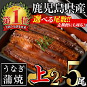 11位! 口コミ数「41件」評価「4.78」<尾数・配送回数が選べる!>無投薬!鹿児島県産うなぎ蒲焼セット<上>(計280g以上〜計700g以上・140g以上×2尾〜5尾 / 定期便 全3回 計840g以上・140g以上×2尾×3回) タレ・山・・・