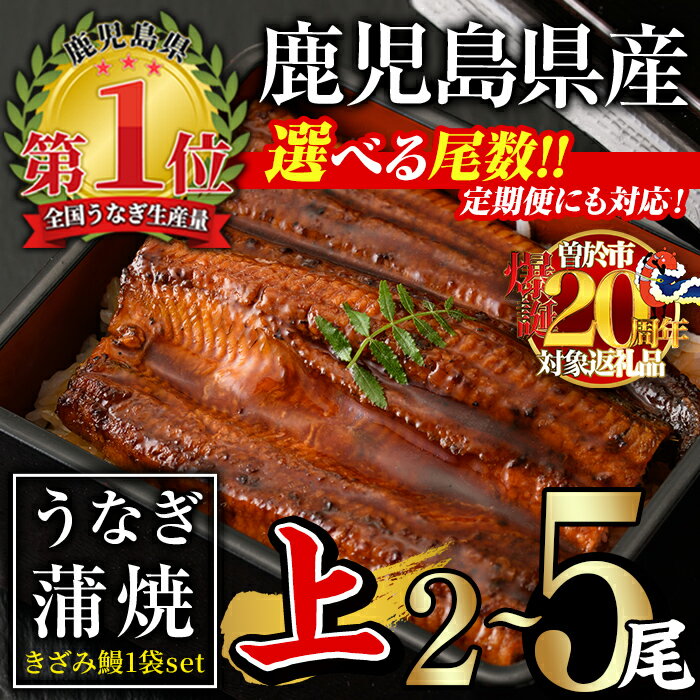 【ふるさと納税】【期間限定！】＜尾数・配送回数が選べる！＞無投薬！鹿児島県産うなぎ蒲焼セット＜上＞(計330g以上〜計750g以上・140g以上×2尾〜5尾＆きざみ鰻50g / 定期便 全3回 計840g以上・140g以上×2尾×3回) タレ・山椒付き 鰻 うなぎ 蒲焼【西日本養鰻】