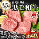 【ふるさと納税】【訳あり】<内容量が選べる!>鹿児島県産A5等級黒毛和牛不揃いロースミニステーキ (計320g~640g) 牛肉 鹿児島県産 牛 黒毛和牛 ロース ステーキ ロースステーキ ステーキ肉 A5 冷凍 訳あり ミニ 不揃い A5【KNOT】