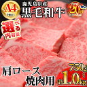 【ふるさと納税】【数量限定】<内容量が選べる!>鹿児島県産黒毛和牛A4等級以上肩ロース焼肉用 (合計750g+黒毛和牛こま切れ250g×1P・合計1.0kg+黒毛和牛こま切れ250g×2P) 国産 鹿児島県産 牛 小分け 冷凍 肩ロース 焼肉【KNOT】