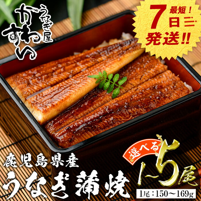 【ふるさと納税】【7営業日以内に発送！】＜内容量が選べる＞＜うなぎ屋かわすい＞鹿児島県産 国産うなぎ蒲焼 (1本あたり150～169g×1～5本) タレ入り 鰻 ウナギ うなぎ うな重 鹿児島県産 冷凍 かわすい 【川口水産】