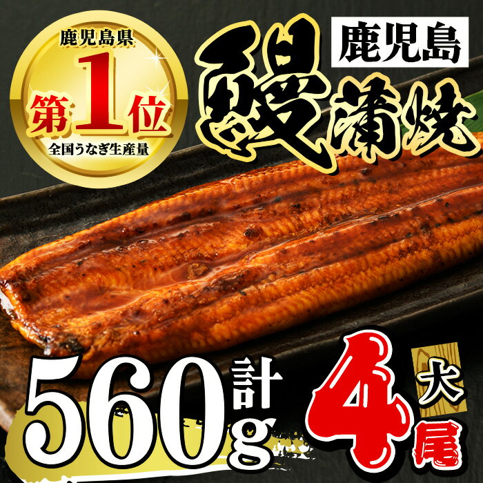 【ふるさと納税】鹿児島県産 うなぎ蒲焼 大 4尾セット 鰻蒲焼 計約560g(約140g×4尾) タレ・山椒付き 鰻 ウナギ 大 4尾 うな重 ひつまぶし かばやき 九州産 国産 冷凍 【おおさき町鰻加工組合】