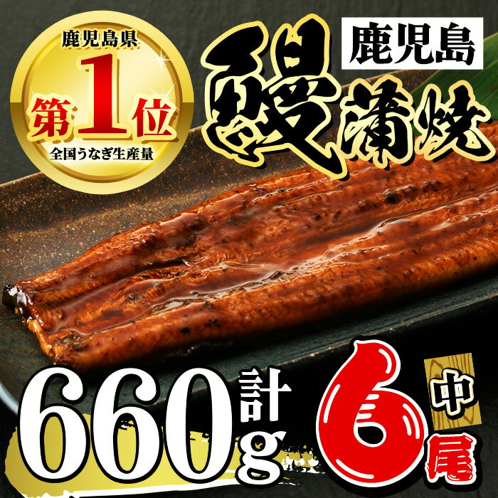 【ふるさと納税】鹿児島県産 うなぎ蒲焼 中 6尾セット 鰻蒲焼 計約660g(約110g×6尾) タレ・山椒付き 鰻 ウナギ 6尾 うな重 ひつまぶし かばやき 九州産 国産 冷凍 【おおさき町鰻加工組合】