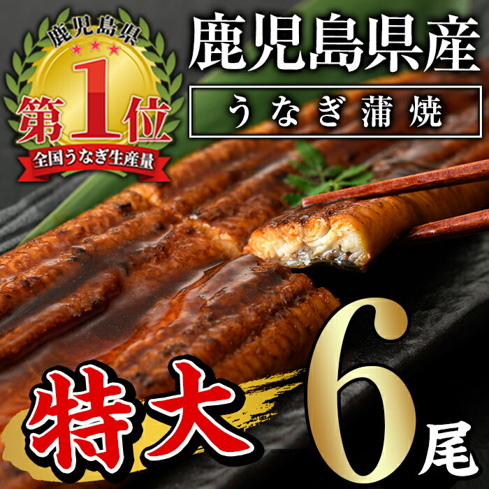 【ふるさと納税】鹿児島県産うなぎ蒲焼 Cセット 計960g (約160g×6尾) タレ・山椒付き 鰻 うなぎ 蒲焼 ...