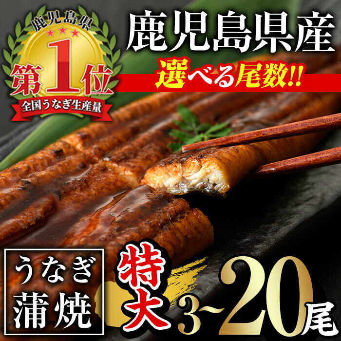 【ふるさと納税】＜尾数が選べる！＞鹿児島県産うなぎ蒲焼セット＜特大＞(計480g～計3.2kg・ 約160g×6尾～20尾) タレ・山椒付き 鰻 うなぎ 蒲焼 ウナギ 急速 冷凍 6尾 ひつまぶし 鹿児島県産 国産【西日本養鰻】のサムネイル
