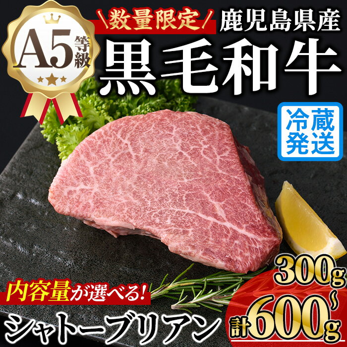 [内容量が選べる!]新鮮チルド 数量限定希少部位・鹿児島県産A5黒毛和牛“極厚"シャトーブリアン (計300〜600g・300g×1~2枚) 牛肉 鹿児島県産 黒毛 和牛 極厚 冷蔵 チルド シャトーブリアン 希少部位 ヒレ[KNOT]