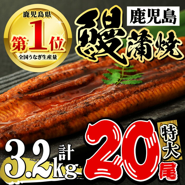 3位! 口コミ数「0件」評価「0」鹿児島県産 うなぎ蒲焼 特大 20尾セット 鰻蒲焼 計約3.2kg(約160g×20尾) タレ・山椒付き 鰻 ウナギ 特大 うな重 ひつまぶ･･･ 