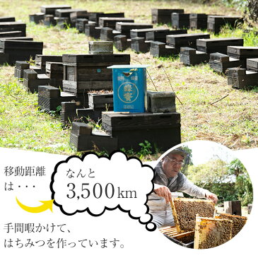 【ふるさと納税】国産純粋はちみつ3種食べ比べセット！合計1kg以上！レンゲ蜂蜜・アカシア蜂蜜・百花蜂蜜！各530g(計1,590g)【新屋養蜂場】