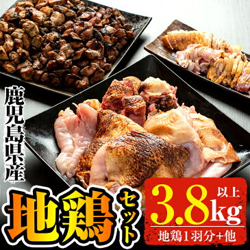 【ふるさと納税】鹿児島県産の地鶏1羽分(約3.8kg)焼き鳥やタタキなどの鶏肉セット！地鶏Bセット【地どりのたけちゃん】