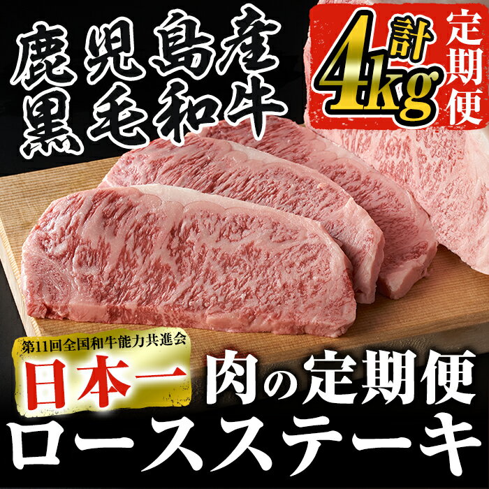 【ふるさと納税】一番人気！鹿児島県産黒毛和牛ステーキ肉 合計5回！毎月届く わくわく定期便(肉)【ナンチク】