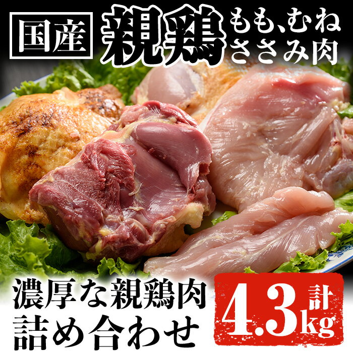 【ふるさと納税】親鶏Bセット合計4.3kg！国内産の親鶏を使用！もも肉、むね肉、ささみ肉のセット！ 肉 鶏肉 鶏 親鶏 モモ肉 ムネ肉 ささみ肉 国産 詰め合わせ 冷凍【ケイ・ショップ味彩館】