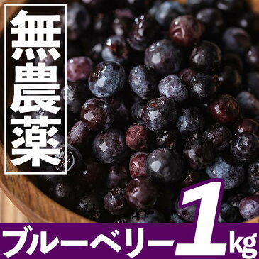 【ふるさと納税】【数量限定】鹿児島県曽於市産 無農薬栽培ブルーベリー 約1kg【古里庵】