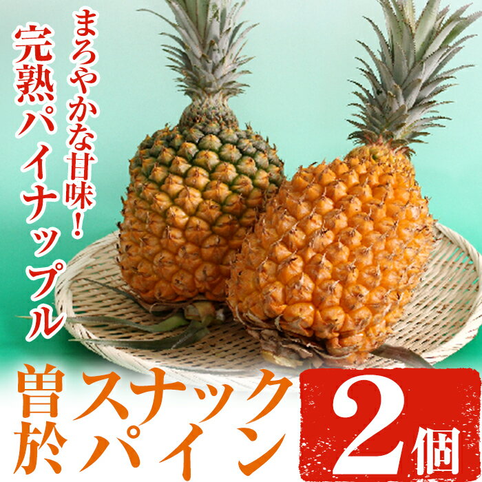 [数量限定]完熟パイナップル 曽於スナックパイン 計2個(1個・約800g〜1.2kg) 鹿児島県産 パイナップル パイン スナックパイン 完熟 果物 くだもの フルーツ トロピカルフルーツ[大徳産業]