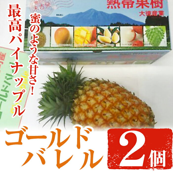 鹿児島県曽於市産!最高のパイナップル!ゴールドバレル(パイナップル)2個(約1kg×2個・計約2kg)[大徳産業]