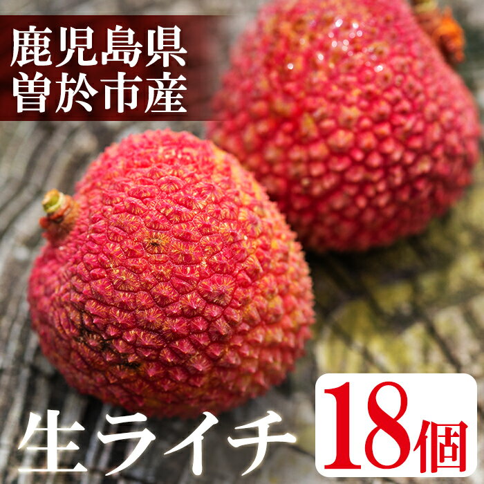 【ふるさと納税】【数量限定】鹿児島県曽於市産 生ライチ(計18個) 鹿児島県産 生ライチ ライチ 果物 くだもの フルーツ トロピカルフルーツ【大徳産業】