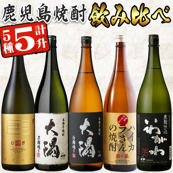 【ふるさと納税】曽於市の焼酎飲みくらべ5本セットB( 計5升