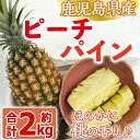 製品仕様 商品名 ピーチパイン 名称 パイナップル 内容量 1kg以上×2個(合計約2kg) 保存方法 常温 製造者 (有)大徳産業 商品説明 曽於市末吉町のハウス内で栽培されたピーチパインです。 収穫したての新鮮なパインを発送いたします。 パイナップルなのにほのかに桃の香りがする不思議なパインです。 通常のパインより酸味が少なく甘みが強いのが特徴です。 ・ふるさと納税よくある質問はこちら ・寄附申込みのキャンセル、返礼品の変更・返品はできません。あらかじめご了承ください。寄附金の使い道について 「ふるさと納税」寄附金は、下記の事業を推進する資金として活用してまいります。 寄附を希望される皆さまの想いでお選びください。 (1) 活力あふれるふるさとづくりに関する事業 (2) 少子高齢化および定住対策に関する事業 (3) 福祉および医療に関する事業 (4) 教育、文化およびスポーツの振興に関する事業 (5) 地場産業の振興に関する事業 (6) 環境の整備に関する事業 特にご希望がなければ、市政全般に活用いたします。 受領証明書及びワンストップ特例申請書について 入金確認後、注文内容確認画面の【注文者情報】に記載の住所にお送りいたします。 発送の時期は、寄附確認後【60日以内】を目途に、お礼の特産品とは別にお送りいたします。 ワンストップ特例制度は、より簡単に税金控除の申請が行える、大変便利な制度です。 適用条件やご利用方法のご案内はこちら からご確認ください。