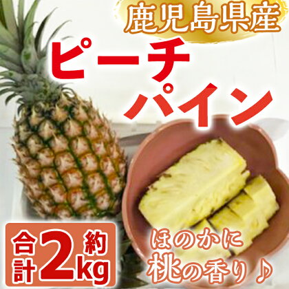 【数量限定】曽於のピーチパイン(1kg以上×2個・計約2kg) 鹿児島県産 パイナップル パイン ピーチパイン 果物 くだもの フルーツ トロピカルフルーツ【大徳産業】