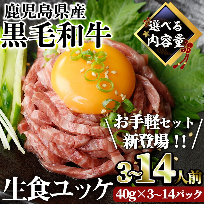 【ふるさと納税】＜配送時期が選べる＞鹿児島県産黒毛和牛ユッケ8人前(40g×8パック) たれ付き 国産 鹿児島県産 黒毛和牛 ユッケ 冷凍 牛肉 生 小分け 個包装【カミチク】のサムネイル