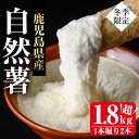 【ふるさと納税】<先行予約受付中・2025年11月下旬~12月上旬頃から順次発送予定>≪期間限定≫鹿児島県産自然薯1.8kg以上(1本掘り2本入り) 自然薯 やまいも 山芋 野菜 健康食材 とろろ汁 山かけ お好み焼き 味噌汁 贈り物 贈答品【曽於市観光協会】
