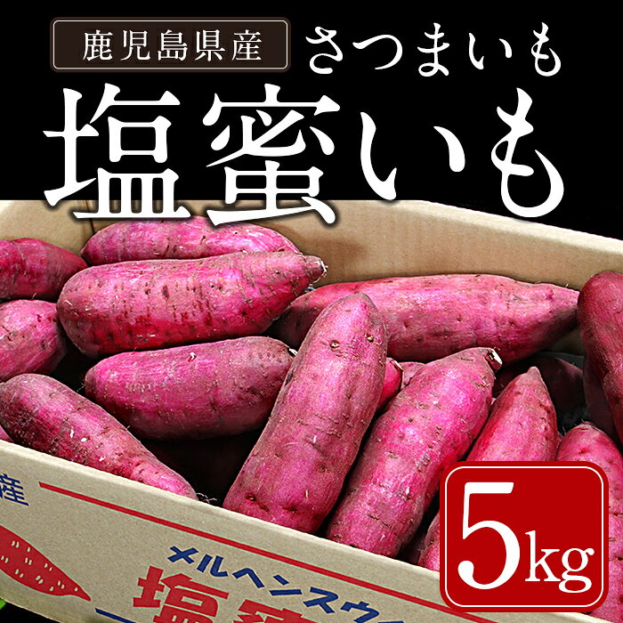 ＜先行予約受付中！2026年11月末以降順次発送予定！＞鹿児島県産 塩蜜いも(5kg) 鹿児島県産 さつまいも サツマイモ さつま芋 紅はるか 焼き芋 焼芋【一般社団法人曽於市観光協会】