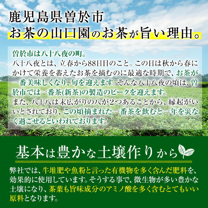 【ふるさと納税】山口園の一番人気の茶葉！小さいお茶屋の煎茶セット(煎茶100g×14本・合計1.4kg) 飲料 お茶 茶 緑茶 国産 煎茶 茶葉 日本茶 常温 常温保存【お茶の山口園】