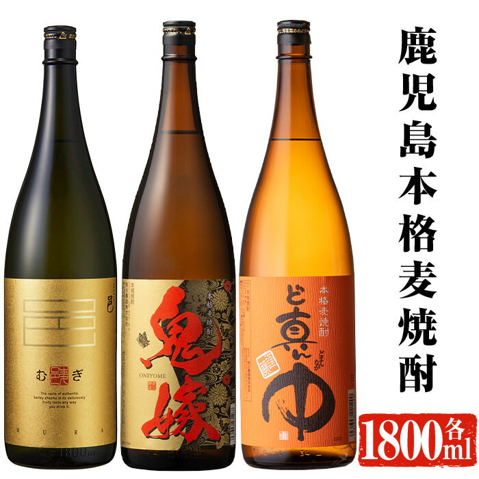 【ふるさと納税】岩川醸造 本格麦焼酎飲み比べ一升瓶3本セット