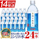 関平鉱泉水（ペットボトル）500ml×24本！水 ミネラルウォーター 温泉水 シリカ シリカ水 ミネラル成分 飲料水 500【関平鉱泉所】