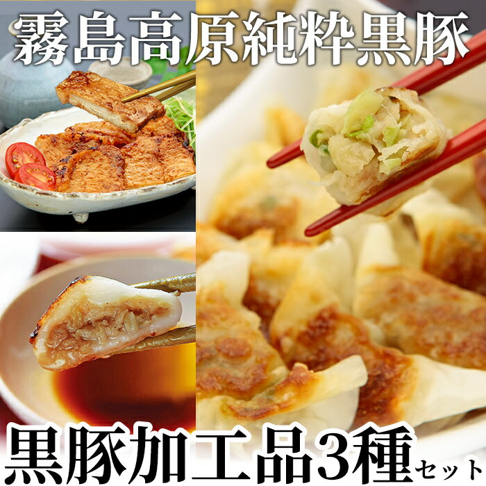 【ふるさと納税】霧島高原純粋黒豚加工品セット3種類!肉 豚肉 豚 黒豚 鹿児島黒豚 黒豚みそステーキ 味噌ステーキ 味付け肉 ぎょうざ 餃子 ギョーザ 惣菜 総菜 セット【霧島高原ロイヤルポーク】