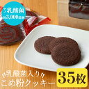 【ふるさと納税】こめ粉クッキー(乳酸菌入り)抗酸化値の高い米粉・ココア粉末・自然栽培の焙煎した米ぬかなどを使ったクッキー!健康を気にされる方の朝食代わりにもおす...