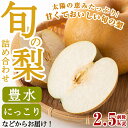 【ふるさと納税】<先行予約受付中!2020年8月5日〜11月