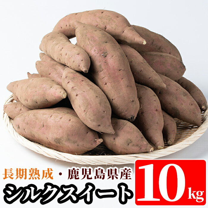 【ふるさと納税】＜先行予約受付中！2024年10月中旬以降順次発送＞鹿児島県産＜シルクスイート＞土付き(10kg)糖度アップした熟成いも【フレッシュジャパン鹿児島】のサムネイル