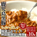 【ふるさと納税】鹿児島黒豚「霧島熟成神話豚」レトルトカレー福袋3点セット!カレー レトルトカレー キーマカレー ポークカレー レトルト食品 レトルト 鹿児島黒豚 熟成カレー 豚肉 常温 温めるだけ 鹿児島 豚味噌 おかず味噌 肉みそ 肉味噌 豚みそ 小分け 惣菜【富士食品】