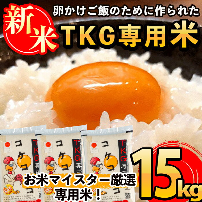 ڤդ뤵Ǽǡۡ7ǯ ͽ桪2025ǯ11ʹ߽缡ȯͽܽ顪񤫤ѤΤơå(TKG)15kg(5kg3ѥå)      ڻŹ