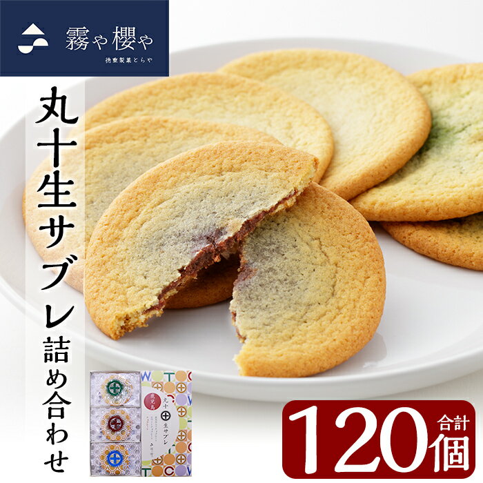 【ふるさと納税】丸十生サブレ詰め合わせ10箱(合計120個)三種類のチョコクリーム(チョコ・ホワイトチョコ・お茶風味)を包んで焼いた焼き菓子【徳重製菓とらや】