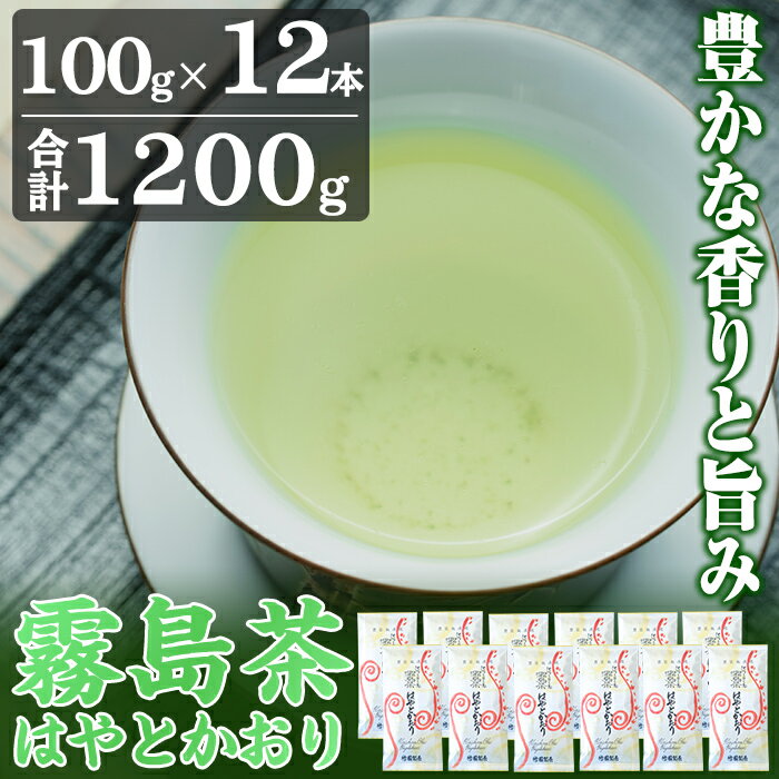 【ふるさと納税】霧島茶はやとかおり雅12本セット！鹿児島県霧島市で育った緑茶「霧島茶」を茶葉100g×12本、合計1200gでお届け【マル竹園製茶】