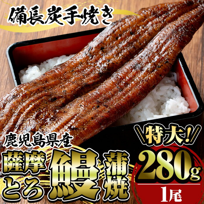 薩摩とろ鰻蒲焼特大サイズ(1尾:280g) うなぎ ウナギ 蒲焼き 蒲焼 かばやき タレ 鹿児島 国産 冷凍[株式会社志]