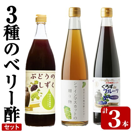 3種のベリー酢(ピオーネ・シャインマスカット・ブルーベリー)飲み比べセット(計3本)お酢 調味料 黒酢ドリンク ビネガー セット 重久本舗【重久盛一酢醸造場】