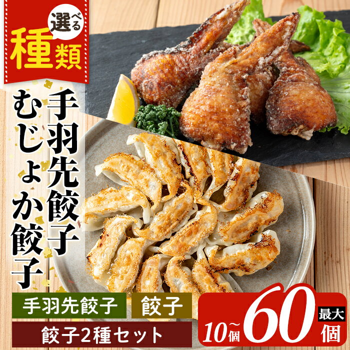 【ふるさと納税】《選べる種類》霧島高原純粋黒豚使用!奇跡の手羽先餃子orむじょか餃子or餃子2種セット(計10個〜60個) 餃子 ぎょうざ 手羽 生餃子 黒豚 ...