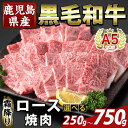 【ふるさと納税】<選べる容量>鹿児島県産A5等級黒毛和牛霜降り上ロース焼肉(計250g~750g) 牛肉 国産 鹿児島県産 ロース 焼肉 肉 精肉 【ふるさと産直バザール】