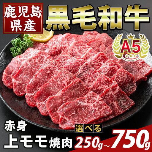 【ふるさと納税】<選べる容量>鹿児島県産A5等級黒毛和牛赤身上モモ焼肉(計250g〜750g) 牛肉 国産 鹿児島県産 モモ 焼肉 肉 精肉 【ふるさと産直バザール】 【ふるさと納税】<選べる容量>鹿児島県産A5等級黒毛和牛赤身上モモ焼肉(計250g〜750g) 牛肉 国産 鹿児島県産 モモ 焼肉 肉 精肉 【ふるさと産直バザール】