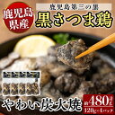 【ふるさと納税】霧島黒さつま鶏 やわい炭火焼(120g×4パック) 国産 鶏肉 鳥肉 鶏むね肉 部位ミックス 肉 とりにく タンパク質【ビッグバード・カピリナ】