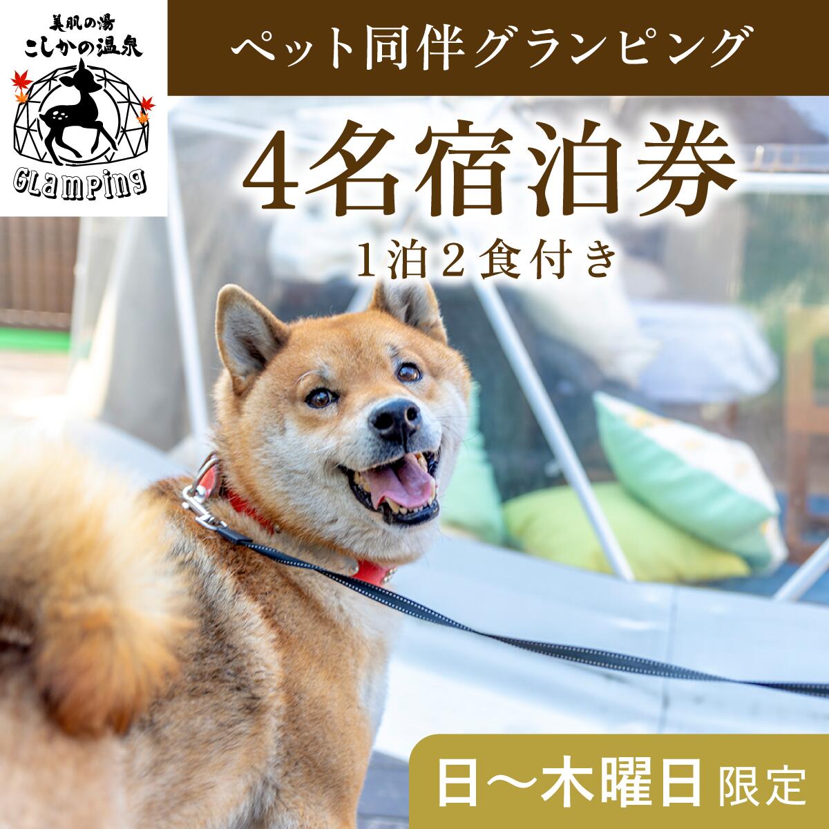 [日〜木曜日限定]ペット同伴グランピング4名1棟宿泊券 (1泊2食付・最大4名可) 鹿児島 霧島 旅行 宿 チケット 宿泊券 キャンプ 温泉 露天風呂 源泉かけ流し サウナ 冷暖房完備 アウトドア体験 BBQ ペット可 犬 小型犬 中型犬 大型犬[こしかの温泉]