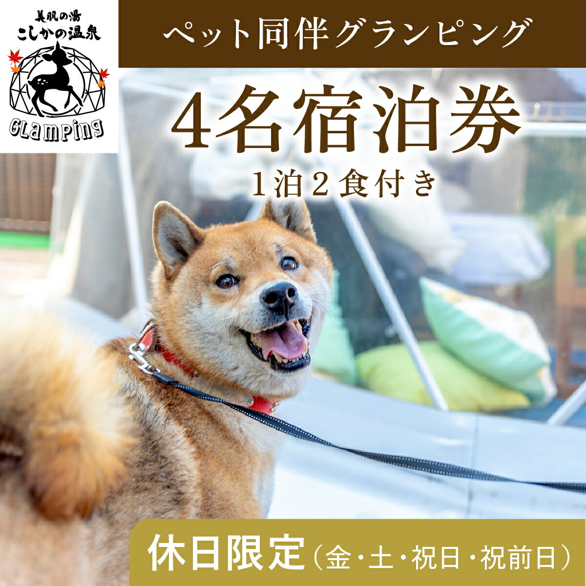 《休日限定(金・土・祝日・祝前日)》ペット同伴グランピング4名1棟宿泊券 (1泊2食付・最大4名可) 鹿児島 霧島 旅行 宿 チケット 宿泊券 キャンプ 温泉 露天風呂 源泉かけ流し サウナ 冷暖房完備 BBQ ペット可 犬 小型犬 中型犬 大型犬 【こしかの温泉】