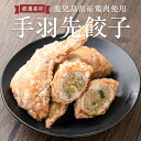 【ふるさと納税】手羽先餃子 （10本）朝引き鳥をその