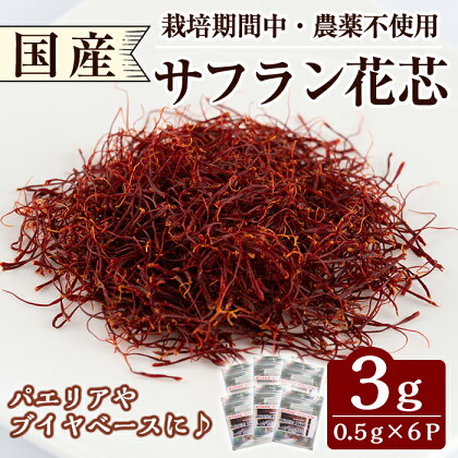 国産サフラン花芯 計3g(0.5g×6P)収穫後すぐに乾燥したサフランをお届け【泉真一朗】