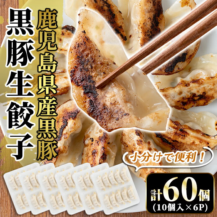 製品仕様 商品名 鹿児島県産黒豚餃子60個 内容量 餃子10個入×6P 原材料 具：キャベツ(国産)、豚肉、豚脂、玉葱、ニラ、砂糖、醤油、濃縮ガラスープ、胡麻油、ニンニク、食塩、生姜、胡麻／調味料(アミノ酸) 皮：小麦粉(国内製造)、コーンスターチ、食塩、菜種油 (一部に小麦・大豆・ごま・鶏肉・豚肉を含む) アレルギー表示 小麦、大豆、ごま、鶏肉、豚肉 賞味期限 製造日から60日 保存方法 冷凍 提供元 肉の豊楽 0986-70-9296 商品説明 鹿児島県産黒豚を使用し、ひとつひとつ丁寧に作りました。焼くだけで簡単調理、気軽にパクパク食べられる一口餃子です。 ・ふるさと納税よくある質問はこちら ・寄附申込みのキャンセル、返礼品の変更・返品はできません。あらかじめご了承ください。「ふるさと納税」寄付金は、下記の事業を推進する資金として活用してまいります。 寄付を希望される皆さまの想いでお選びください。 (1) 市長が必要と認める施策 (2) 自然環境の保全 (3) 子育て支援の充実 (4) まちづくりの支援 (5）観光の振興 (6) 教育の振興 特にご希望がなければ、市政全般に活用いたします。 入金確認後、注文内容確認画面の【注文者情報】に記載の住所にお送りいたします。 発送の時期は、寄附確認後2ヵ月以内を目途に、お礼の特産品とは別にお送りいたします。