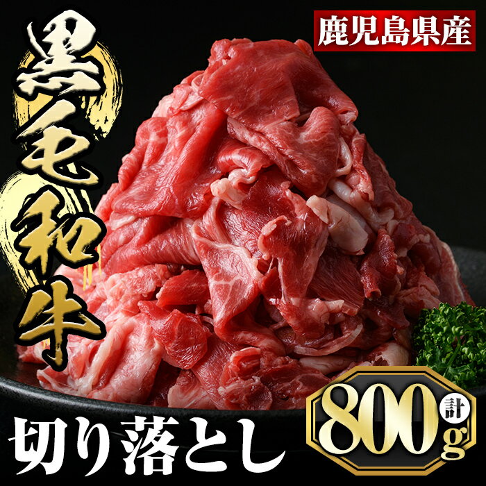 【ふるさと納税】鹿児島黒毛和牛切り落とし(800g)国産 牛肉 鹿児島県産 黒毛和牛 肉 精肉 牛 切り落とし 小分け【肉の名門 一真】